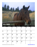 July 2003 Calendar #2