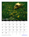June 2003 Calendar #1